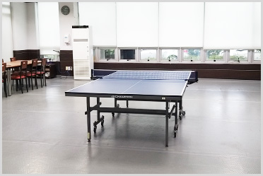 Recreation(Table tennis)